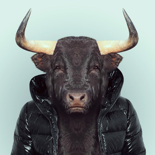 Bull by Yago Partal
